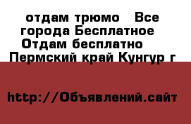 отдам трюмо - Все города Бесплатное » Отдам бесплатно   . Пермский край,Кунгур г.